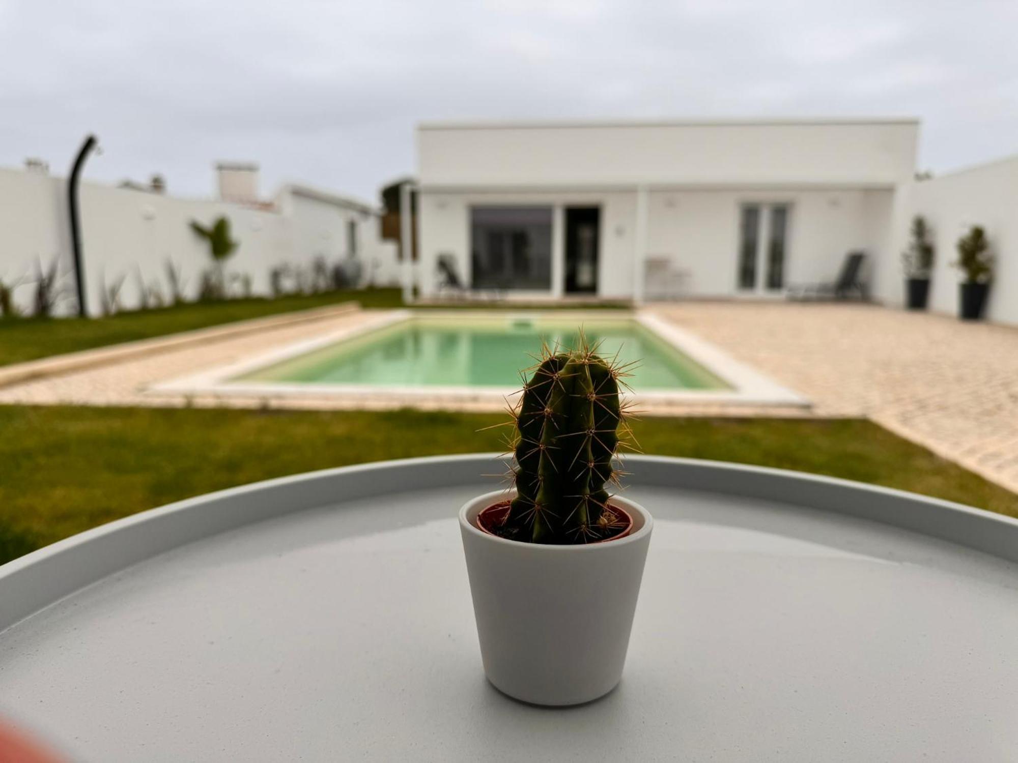 D'Felicidade Caldas Da Rainha Pokój zdjęcie